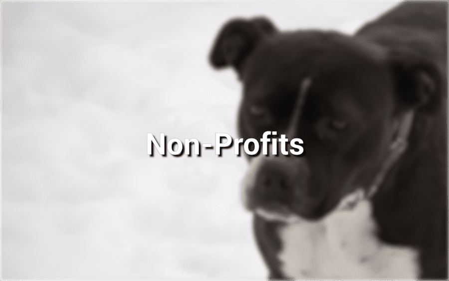 thumb nonprofitfilm 1